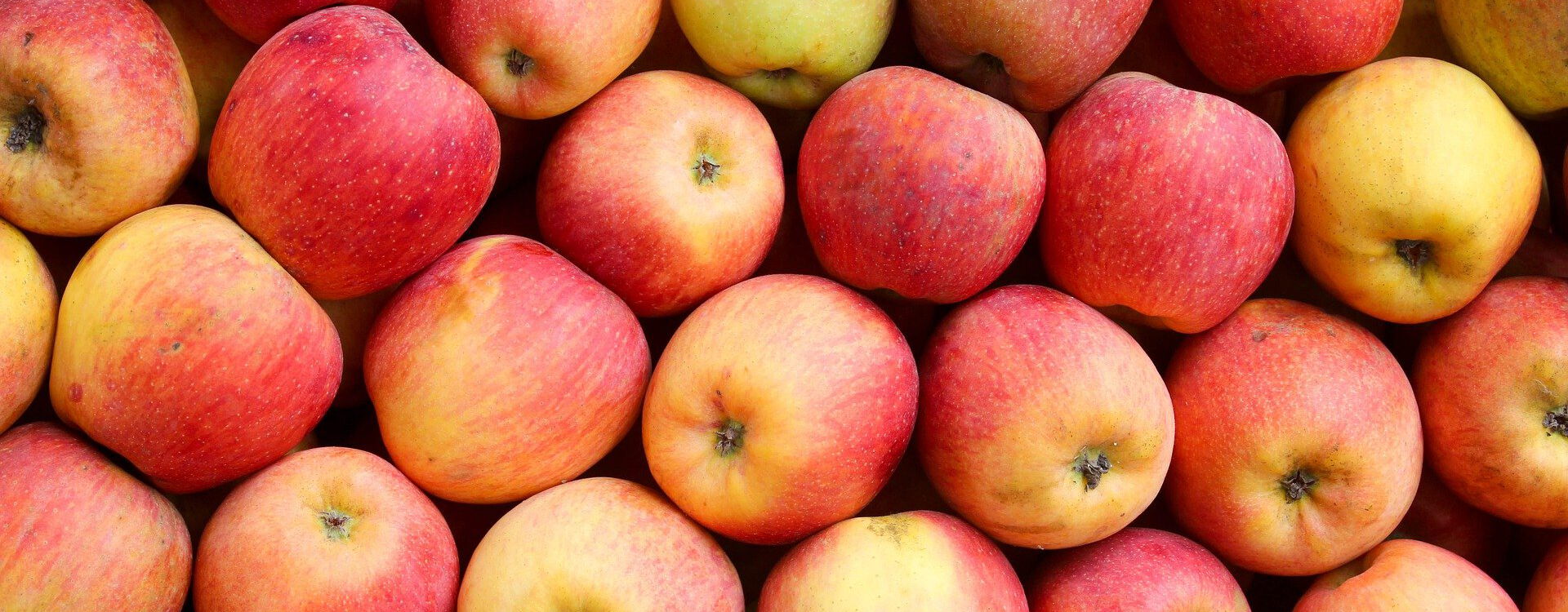 Verschiedene rote Äpfel